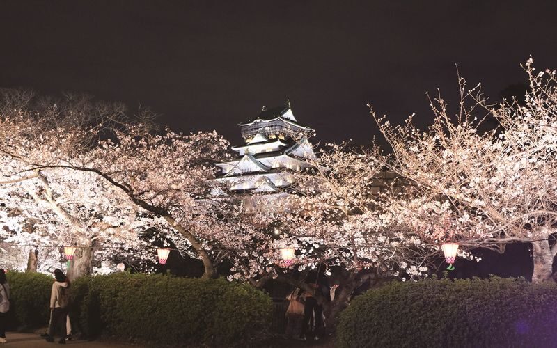Osaka: Castle Tower Admission / Guided Walking Tour - What the Tower-Admission Package Adds