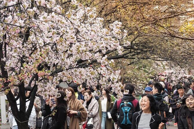 Osaka Cherry Blossom Tour with a Local: 100% Personalized Private - Final Thoughts
