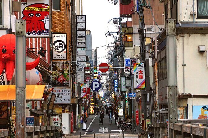 Osaka City Cherry Blossom Private Sightseeing Tour - Key Points