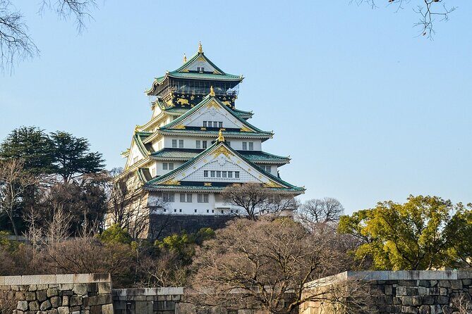 Osaka City Cherry Blossom Private Sightseeing Tour - What’s Included and What’s Not