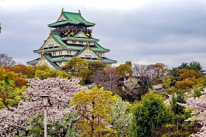 Osaka City Cherry Blossom Private Sightseeing Tour - FAQ
