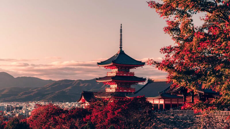 Osaka City English Private Tour Hotel Pickup Sightseeing - Key Points