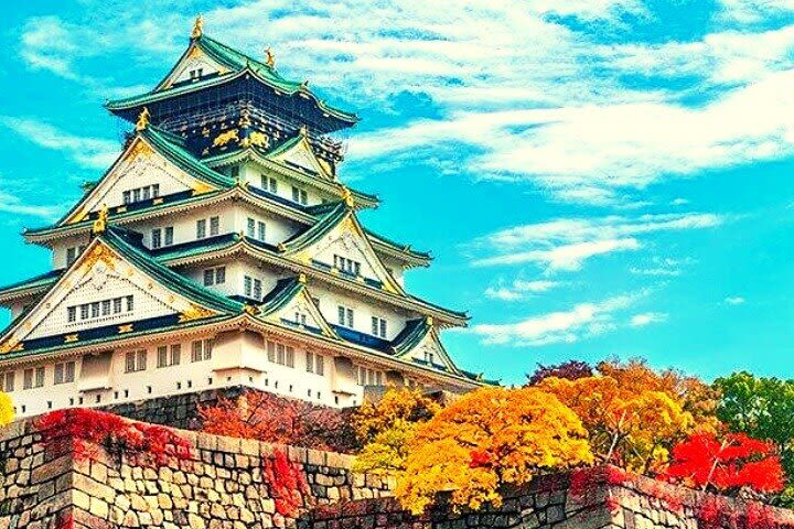 Osaka City Highlights Half-Day Small Group Experience - The guide is the main reason to go