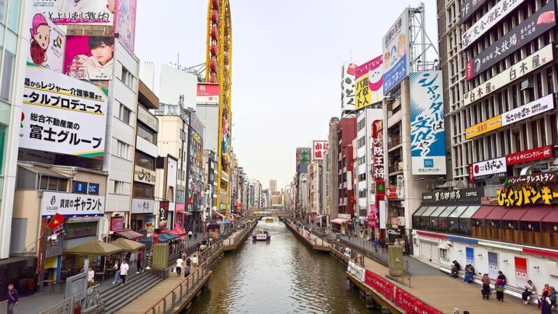 Osaka City Highlights One Day Private Tour - Who Should Consider This Tour?