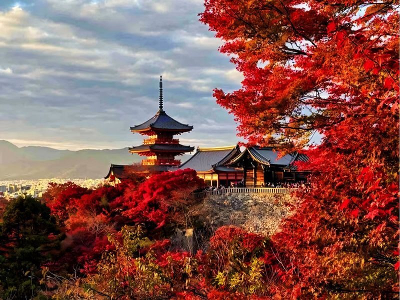 Osaka City/Kyoto/Nara/Uji/Kobe Popular Locations Customized Chartered Car Day Tour - What a 10-hour private charter gives you