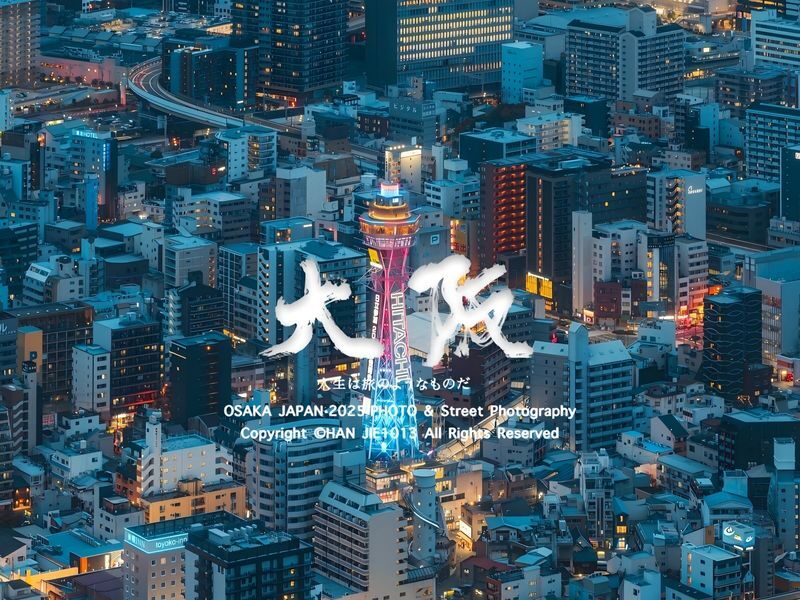 Osaka City/Kyoto/Nara/Uji/Kobe Popular Locations Customized Chartered Car Day Tour - Nara Park: deer, temples, and a realistic pace