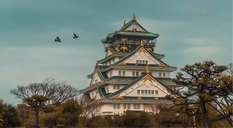 Osaka City/Kyoto/Nara/Uji/Kobe Popular Locations Customized Chartered Car Day Tour - Osaka or Kobe: useful choices for a city day