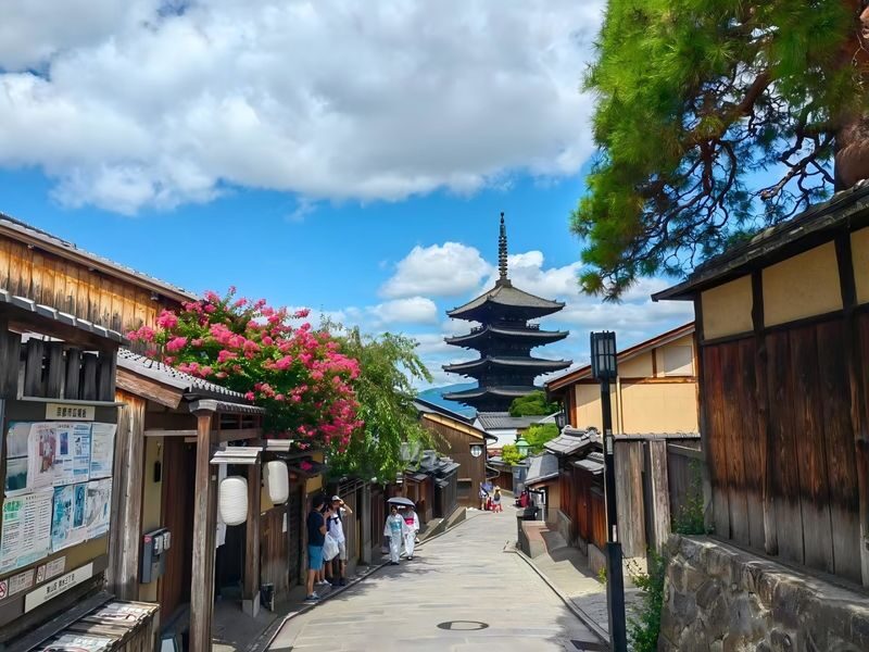 Osaka City/Kyoto/Nara/Uji/Kobe Popular Locations Customized Chartered Car Day Tour - Price, vehicle capacity, and the extra costs
