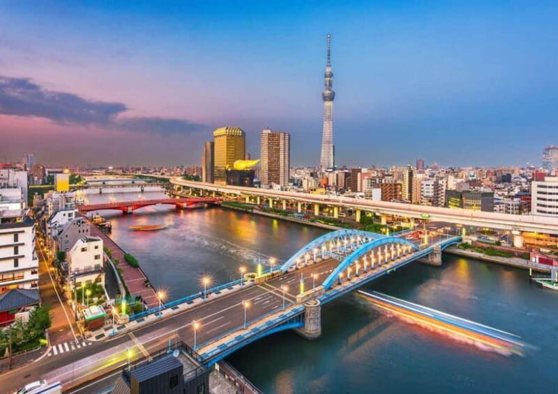 Osaka: Culinary & Nightlife Journey Private Car guided Tour - Who Should Book This Tour?