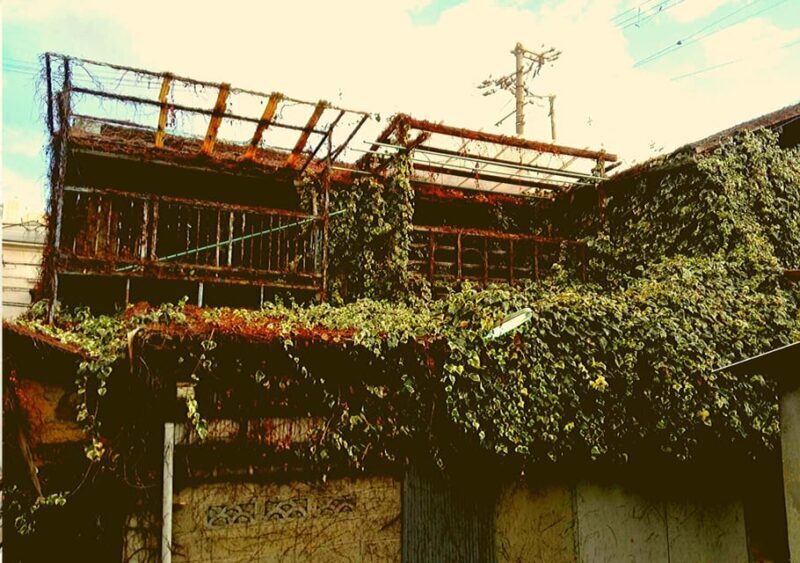 Osaka: Deep Backstreets Walking Tour with Dinner Option - Key Points