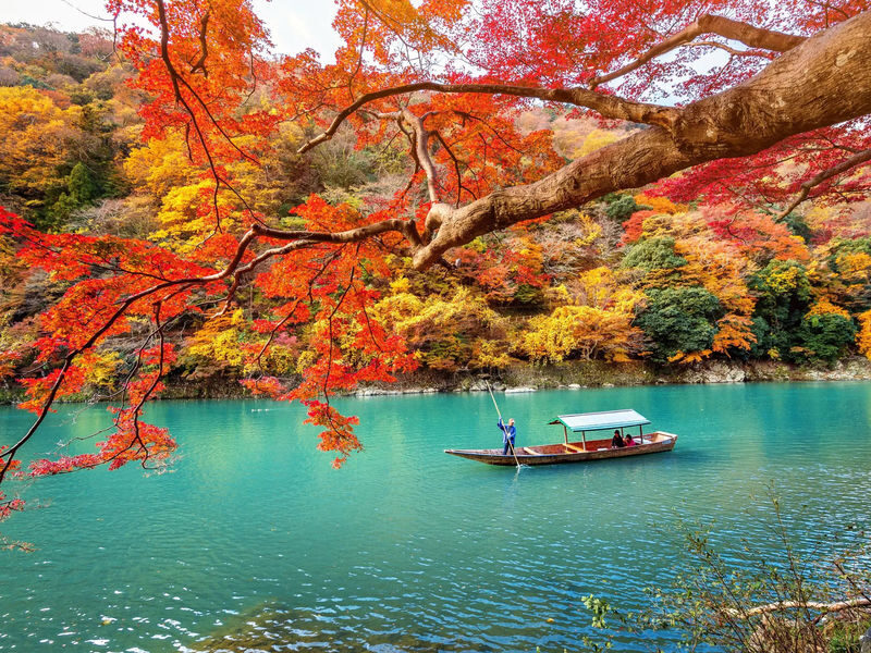 Osaka Departure | Kansai Region Customized Private Car Day Tour (Osaka/Kyoto/Nara/Kobe/Wakayama) - At a glance