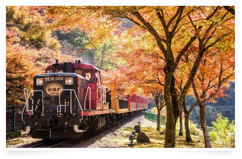 Osaka Departure | Kansai Region Customized Private Car Day Tour (Osaka/Kyoto/Nara/Kobe/Wakayama) - A private car, not a packaged sightseeing tour