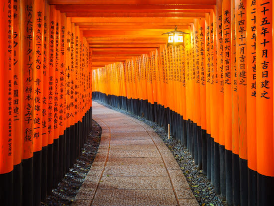 Osaka Departure | Kansai Region Customized Private Car Day Tour (Osaka/Kyoto/Nara/Kobe/Wakayama) - When the wider Kansai options make sense