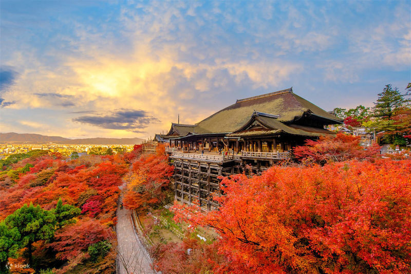 Osaka Departure | Kansai Region Customized Private Car Day Tour (Osaka/Kyoto/Nara/Kobe/Wakayama) - Vehicle size and luggage are part of the plan