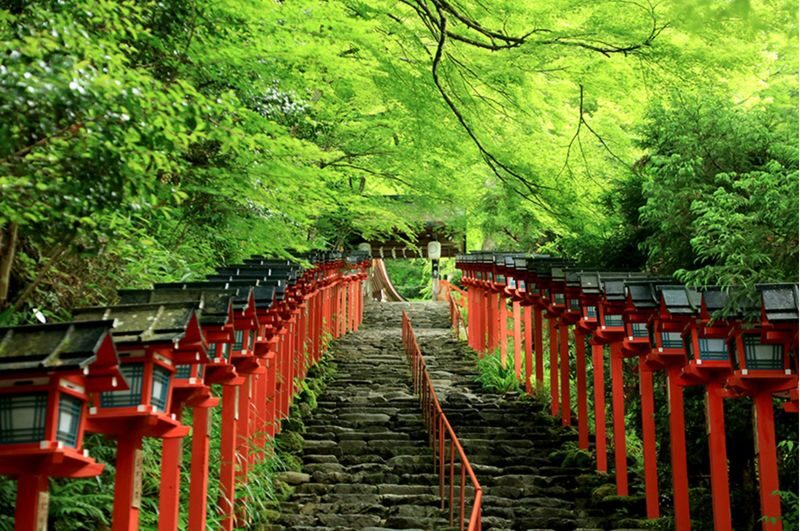 Osaka Departure | Kansai Region Customized Private Car Day Tour (Osaka/Kyoto/Nara/Kobe/Wakayama) - Communication, timing, and the small print