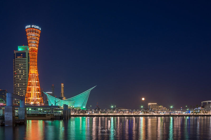Osaka Departure | Kansai Region Customized Private Car Day Tour (Osaka/Kyoto/Nara/Kobe/Wakayama) - Should you book it?