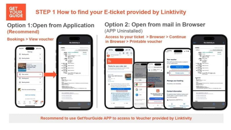 Osaka: Expo 2025 Admission Ticket - The Experience on the Ground