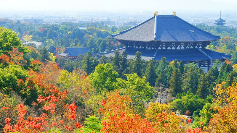 Osaka Full-Day Nara Park, Arima Onsen & Kobe Port Tour - Who should book this Osaka day trip?