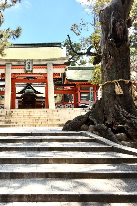 Osaka: Full-Day Private Guided Tour of the Historical City - Final Thoughts