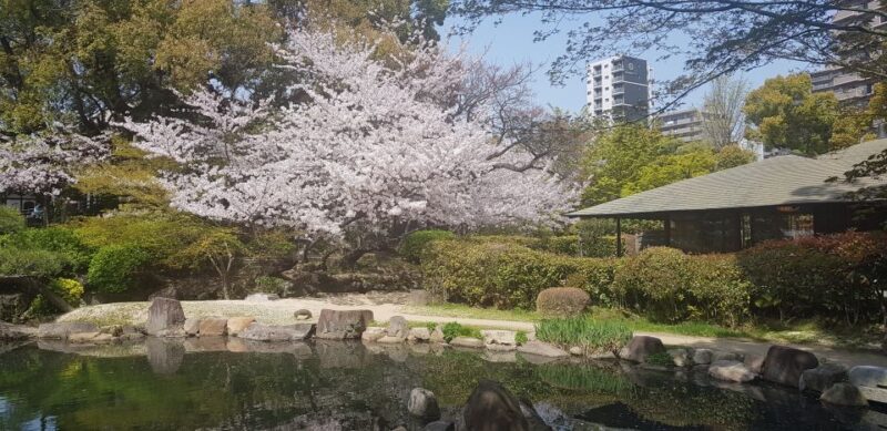 Osaka: Full-Day Sightseeing Tour by Private Vehicle - Final Thoughts