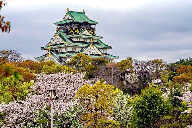 Osaka Full Day Walking Tour with Local Expert Guide - A Deep Dive into Osaka’s Highlights
