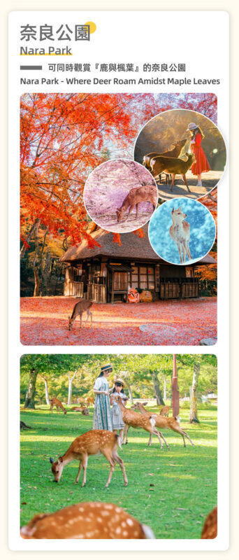 Osaka Fushimi Inari, Nara Park, and Arashiyama Day Trip (including Monkey Park) - The ride and the value of a set schedule