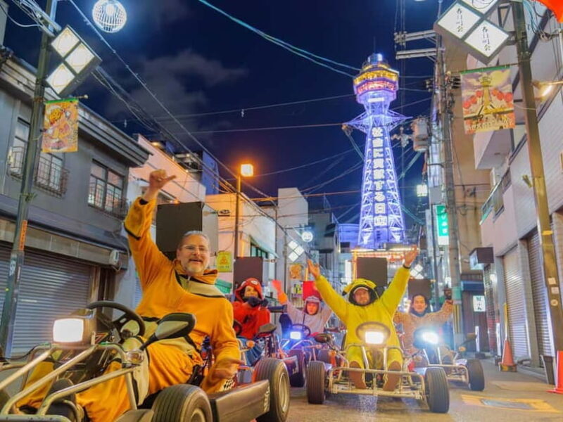 Osaka: Guided Go Karting Tour in a Funny Costume - Who Should Consider This Tour?