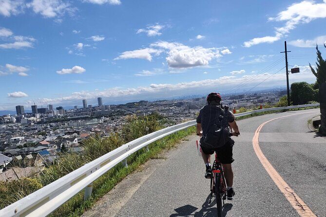 Osaka Half-day E-bike Tour: Minoh Falls, Katsuoji Temple w Lunch - Key Points