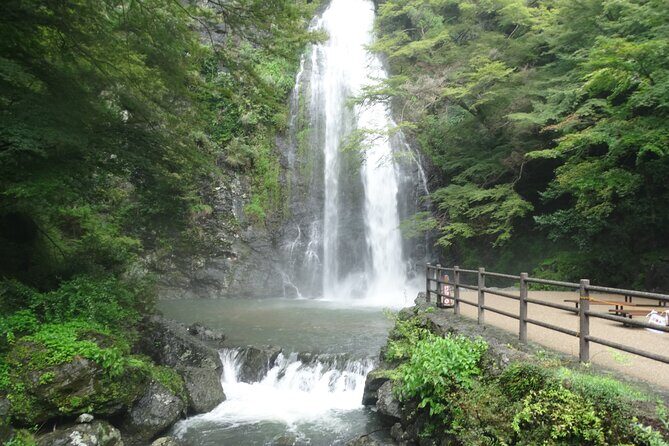 Osaka Half-day E-bike Tour: Minoh Falls, Katsuoji Temple w Lunch - A Deep Dive into the Osaka E-bike Tour