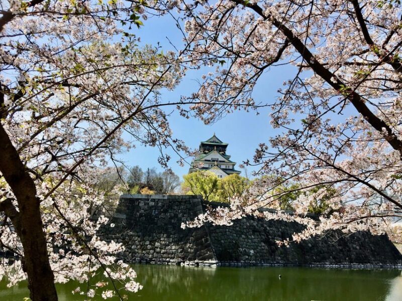 Osaka: Half-Day Private Guided Tour of the Castle - Practical Details & Value