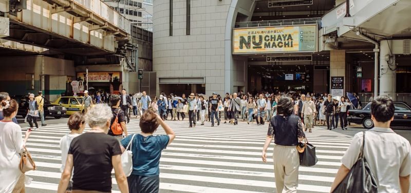 Osaka Hidden Gems 4-Hour Private Walking Tour - Local context makes familiar sights more useful