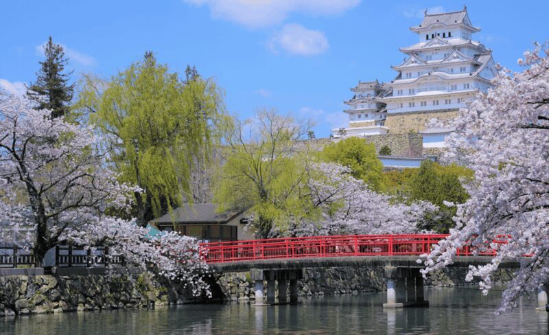 Osaka: Himeji Castle, Arima Onsen & Mt. Rokko 1-Day Bus Tour - Key Points