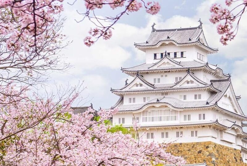 Osaka: Himeji Castle, Arima Onsen & Mt. Rokko 1-Day Bus Tour - Who Should Consider This Tour?