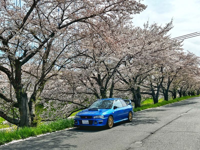 Osaka: Initial D Car Model Private Charter Experience in Japan - Who will enjoy this most