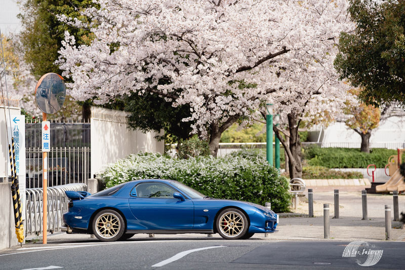 Osaka: Initial D Car Model Private Charter Experience in Japan - Booking details to get right