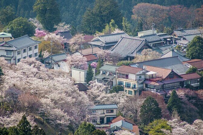 Osaka Kansai Airport to Nara City | Private Transfer - Booking and Confirmation