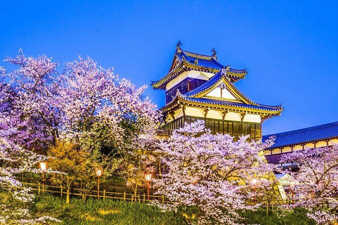 Osaka Kansai Airport to Nara City | Private Transfer - Vehicle Comfort and Capacity