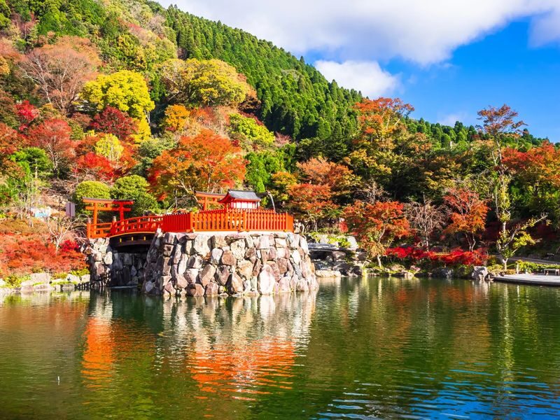 Osaka Katsuo-ji, Arashiyama, Kinkaku-ji Full-Day Tour - Three stops, one full-day plan
