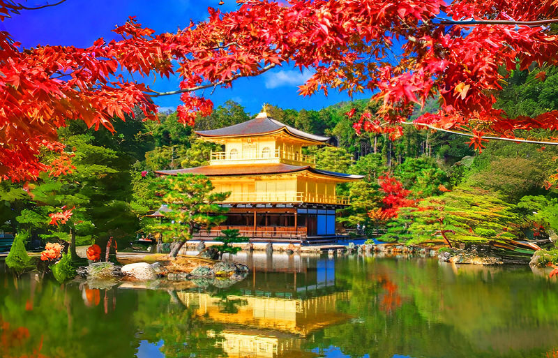 Osaka Katsuo-ji, Arashiyama, Kinkaku-ji Full-Day Tour - Who should book this tour?