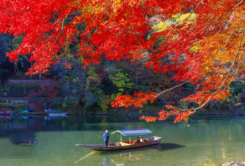 Osaka Katsuo-ji & Kyoto Arashiyama & Fushimi Inari Tour (From Osaka) - Fushimi Inari: follow the gates as far as time allows