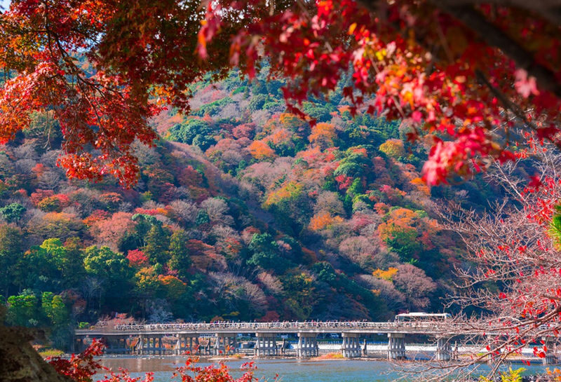 Osaka Katsuo-ji & Kyoto Arashiyama & Fushimi Inari Tour (From Osaka) - What the price buys, and what it doesn’t