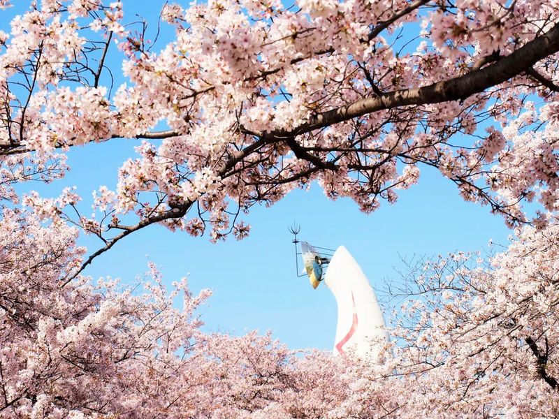 Osaka Katsuo-ji & Minookoen Full-Day Romantic Hiking Tour - The extra stop is worth confirming