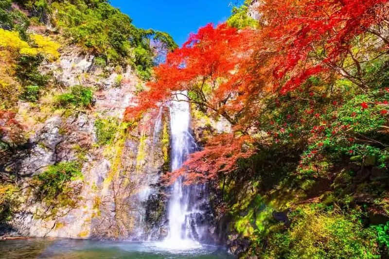 Osaka Katsuo-ji & Minookoen Full-Day Romantic Hiking Tour - Who should choose this day trip?