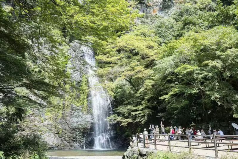 Osaka Katsuo-ji & Minookoen Full-Day Romantic Hiking Tour - Booking and cancellation details