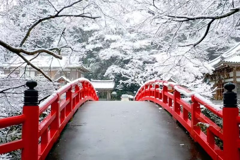 Osaka Katsuo-ji & Minookoen Full-Day Romantic Hiking Tour - Should you book it?