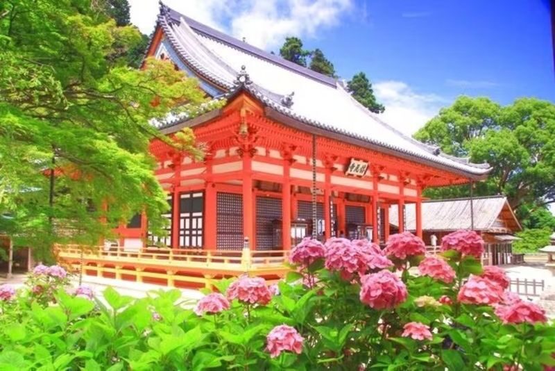 Osaka: Katsuo-ji Temple - Why Katsuo-ji’s Daruma tell a different story