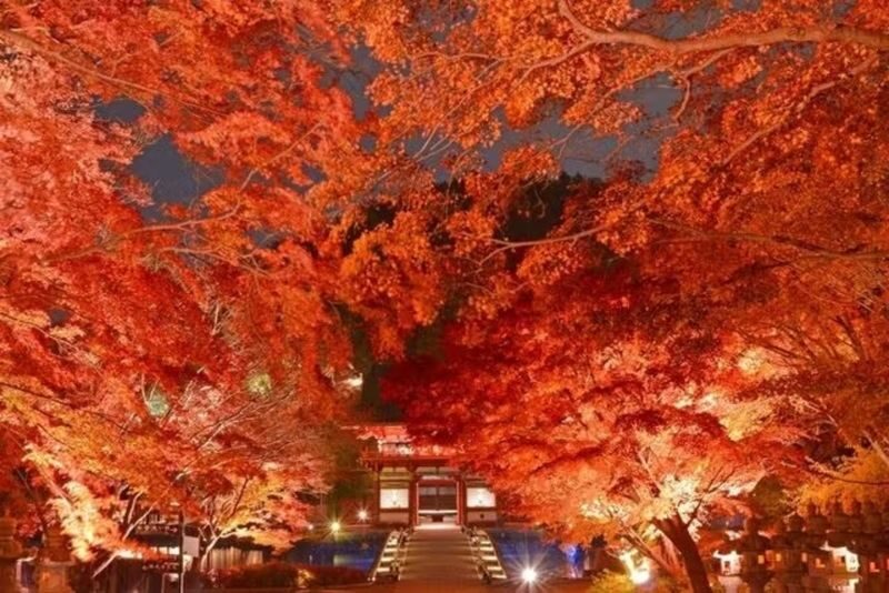 Osaka: Katsuo-ji Temple - The entrance, QR ticket and six-stamp postcard