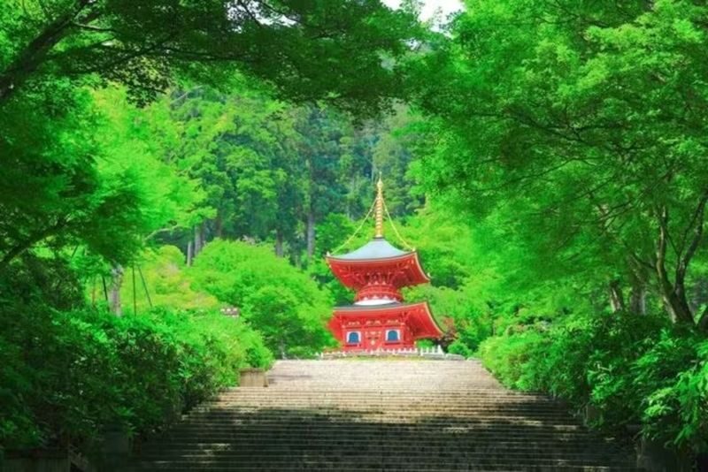 Osaka: Katsuo-ji Temple - Is the ticket worth booking?
