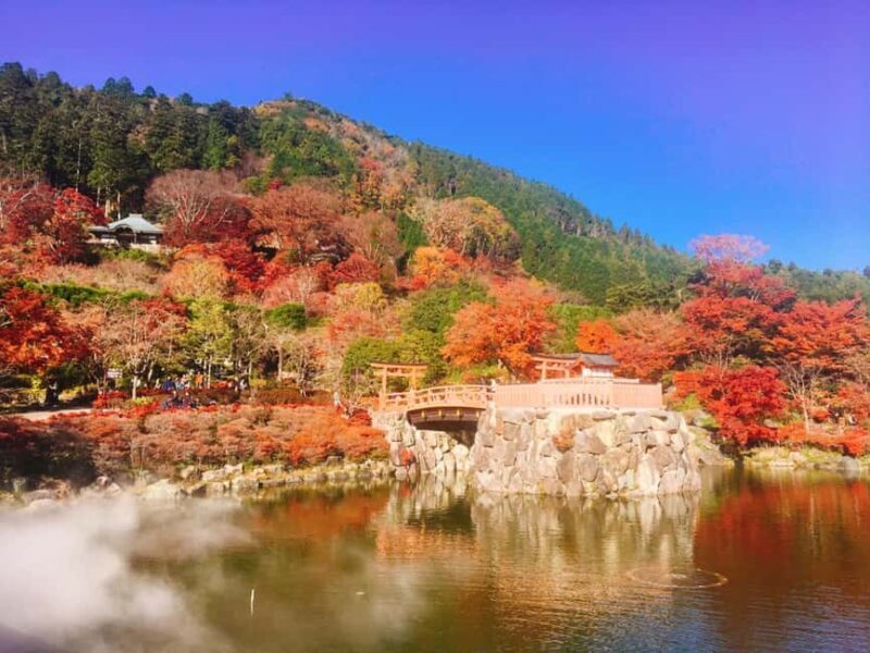 Osaka: Katsuo-ji Temple with Hundreds of Daruma Figures - An In-Depth Look at the Experience