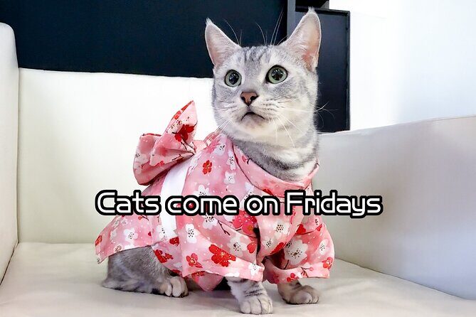 Osaka Kimono Rental - A Deep Dive into the Osaka Kimono Rental Experience